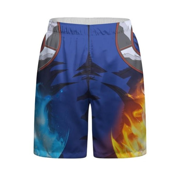 BJJ Rash Guard My Hero Academia 'Todoroki | 2.0' Shorts